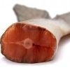 Poisson frais