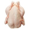 Poulet de chair