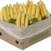Bananes Caisse 10kg