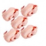 Poulet Jaboot Pack de 5